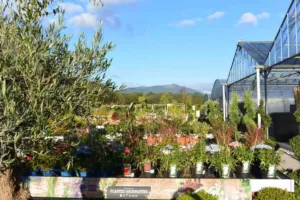 La pepiniere de la jardinerie des 2 vallées