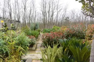 La pepiniere de la jardinerie des 2 vallées
