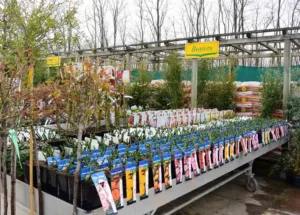 La pepiniere de la jardinerie des 2 vallées